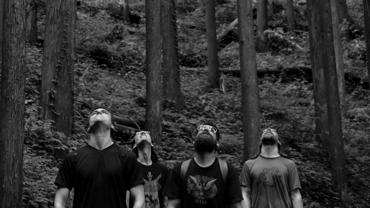 Krallice Krallice in a forest in Japan.