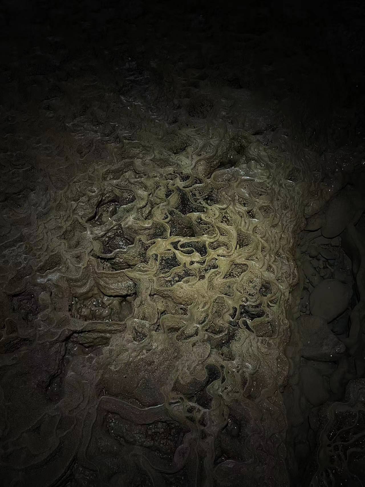 牙仙洞, 中國貴州 Photo by 33